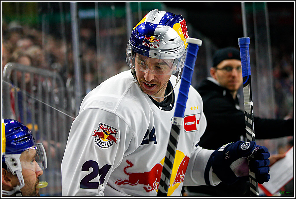 PENNY DEL; Koelner Haie- Red BUll Muenchen; Koeln, 08.11.2022
